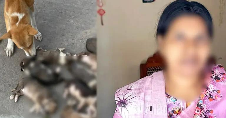 গ্রেপ্তার নিশি রহমান